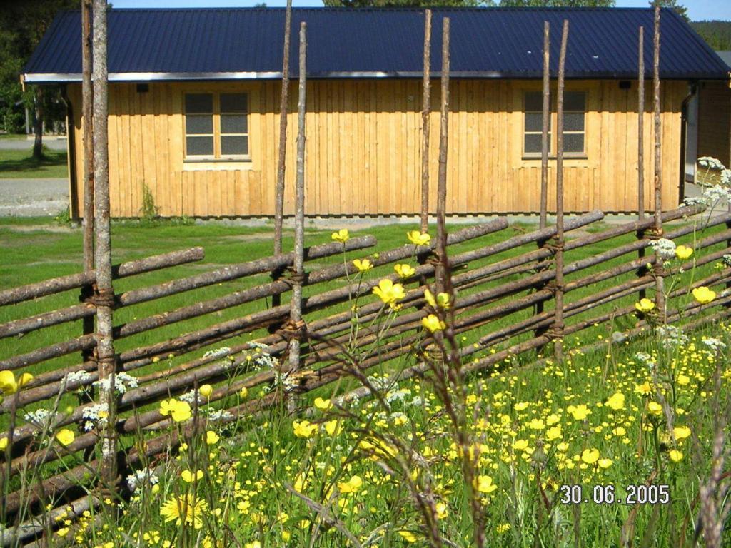 Saiva Camping & Stugby Vilhelmina Esterno foto